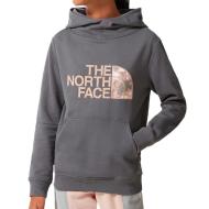 Sweat Gris Fille The North Face Drew Peak pas cher