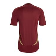 Arsenal Maillot Bordeaux Homme Adidas Teamgeist vue 2