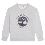 Sudadera gris para niño Timberland T60319