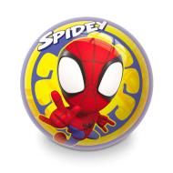 Ballons Spidey Imprimé D13cm pas cher