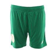 Standard de Liège Short Vert Football Homme New Balance pas cher