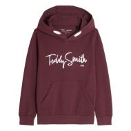 Sweat à Capuche Bordeaux Garçon Teddy Smith Evry1