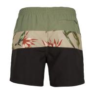 Maillot de bain Noir/Kaki Homme O'Neill Frame vue 2