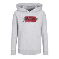 Sweat à Capuche Gris GarçonJack & Jones 12259861 pas cher