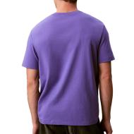 T-Shirt Violet Homme Calvin Klein Jeans Easy LV04RC275G vue 2