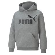 Sweat Gris Garçon Puma Hoodie pas cher