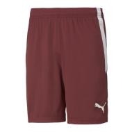 Short de Sport Rouge Homme Puma Teamliga pas cher