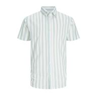 Chemise à Rayures Manche courtes Vert/Blanc Homme Jack & Jones Stripe