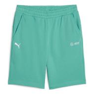 Short Turquoise Homme Puma 623761 pas cher