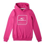 Sweat à Capuche Rose Fille O'Neill Cube pas cher