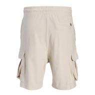 Short Cargo Beige Homme Jack & Jones Gordon vue 2