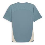 OM Trainingstrikot Blau/Beige Mann Puma 24/25 Ansicht 2