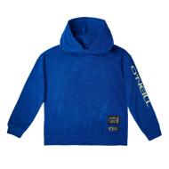 Sweat à Capuche Bleu Garçon O'Neill Brights Terry