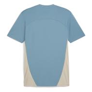 OM Maillot Training Bleu Homme Puma 24/25 vue 2