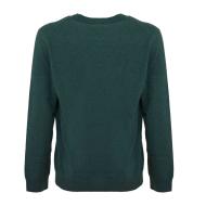 Pull Vert Homme Lacoste Jardin vue 2