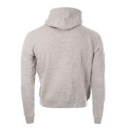 Sweat à capuche Gris Homme C17 Fletcher vue 2