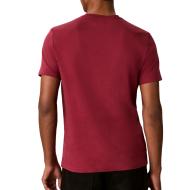T-Shirt Rouge Homme Calvin Klein Jeans Ss 30s Eu Crest vue 2