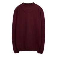 Pull 1/4 Zip Bordeaux Homme Teddy Smith Marty 2 vue 2