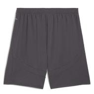 Milan AC Short Gris Homme Puma 2024/25 vue 2
