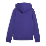 Sweat à Capuche Violet Garçon Puma Ess+ Camo vue 2
