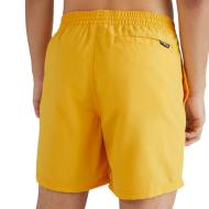 Short de bain Jaune Homme O'Neill Cali 16 vue 2