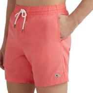 Short de bain Rose Homme O'Neill 200 17016