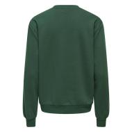 Women’s Green Only Elanor Sweatshirt Photo of the Espace des Marques %store% store - view of %key%