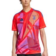 Juventus Red Men's Adidas Goal Jersey 24/25 affordable