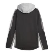 Sweat à Capuche Gris/Noir Homme Puma Evostripe vue 2