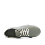 Women’s Green TBS Cruiser Python Trainers Photo of the Espace des Marques %store% store - view of %key%