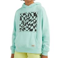 Sweat à Capuche Vert Amande Garçon O'Neill Checker pas cher