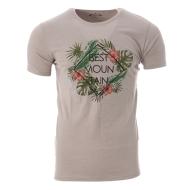 T-shirt Gris Homme Best Mountain 1013