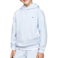 Sweat Bleu Garçon Tommy Hilfiger Timeless