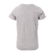 T-Shirt Gris Garçon Redskins 750409 vue 2