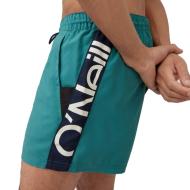 Short de bain Bleu Canard Homme O'Neill Cali Panel vue 3