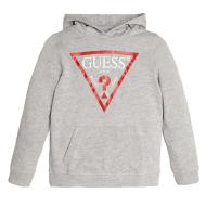 Sweat à capuche Gris Garçon Guess pas cher