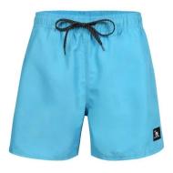 Short de bain Bleu Homme Gotcha Addict