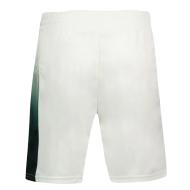 Short de Sport Ecru/Vert Homme Le Coq Sportif Tennis Pro Short 24 vue 2