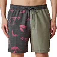 Short de bain Vert Homme Globe Dion Agius pas cher