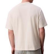 T-Shirt Beige Homme Calvin Klein Jeans LV04RD808G vue 2