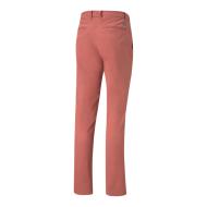 Pantalon de golf Rouge Homme Puma Dealer vue 2