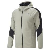 Veste Zippé Grise Homme Puma Evostripe Warm pas cher
