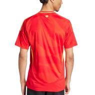 Espagne Maillot Authentic Domicile Homme Adidas 2024 vue 2