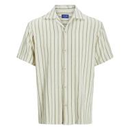 Chemise Rayure Écru/Kaki Homme Jack & Jones Stripe Resort vue 3