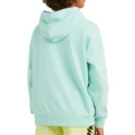 Sweat à Capuche Vert Amande Garçon O'Neill Checker vue 2