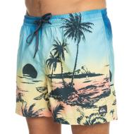 Maillot de bain Bleu Homme Quiksilver Paradise 15 Jamv pas cher