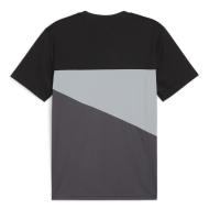 Dortmund T-Shirt Noir/Gris Homme Puma Poly 2023/2024 vue 2