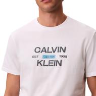 Weißes Herren-T-Shirt von Calvin Klein Jeans Calvinklei Ansicht 2