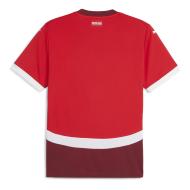 Suisse Maillot Réplica Domicile Homme Puma 2023/2024 vue 2