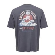 T-shirt Gris Homme Only & Sons Keane Rlx Print vue 2